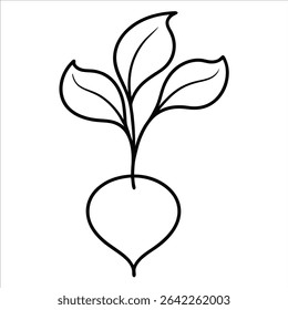 Minimalist beetroot illustration in continuous line art drawing style showing clean lines and natural form great for health food graphics or farm to table designs