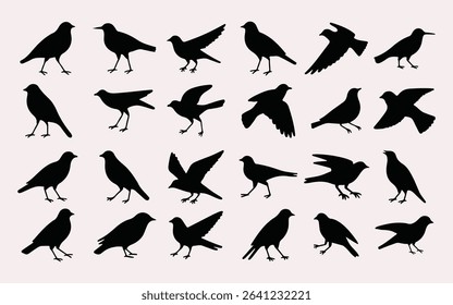 Minimalist Bird Silhouette Collection in Grid Layout on White Background