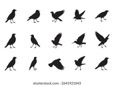 Minimalist Bird Silhouettes Collection on White Background.