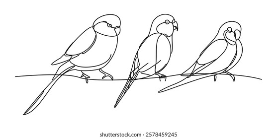 Minimalist birds resting on a branch, drawn with flowing lines expressing serenity and renewal. A nod to the soft vitality of spring in the embrace of nature.