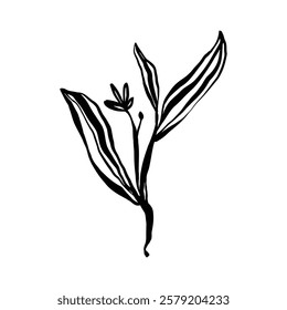 A minimalist black ink drawing depicts a stylized plant with bold lines and a single small flower.