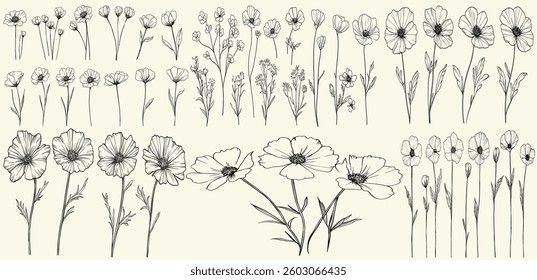 Minimalist black line art of chicory flowers for chic wedding stationery, boho-themed decor, trendy greenery, feminine botanical floral branch, hand drawn wildflowers, eco-conscious branding,