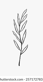 Minimalist black line art of a leafy branch. Simple, elegant design with delicate leaves. Perfect for modern, minimalist decor or art projects. Simple black line art doodle vector.