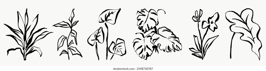 Minimalist black line drawings of various plant leaves. Simple plant sketches with different leaf shapes. Artistic plant illustrations in black lines. Nature illustrations, isolated vector set.