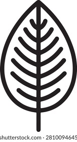 Minimalist black outline of a pointed leaf with symmetrical veins on a white background