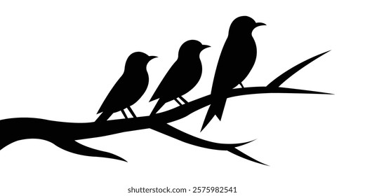 A minimalist black silhouette illustration of three birds sitting on a tree branch. The design features a simple yet elegant composition, perfect for use in nature-themed projects, logos, and decorati