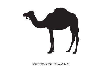 Minimalist black silhouette of a standing camel with a white background, perfect for desert-themed designs or logos.