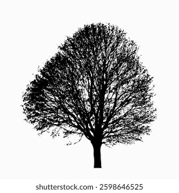 Minimalist Black Tree Silhouette Vector Illustration with White Stroke. A clean and modern vector illustration of a black tree silhouette with detailed branches. Perfect for eco-friendly designs, logo