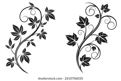 Minimalist Black and White Botanical Vine Silhouette