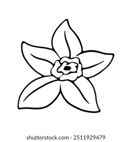 A minimalist black and white illustration of a single flower with detailed petals and a bold center.