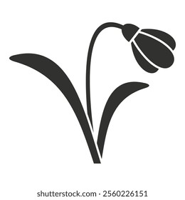 Minimalist black and white illustration of a snowdrop flower growing, symbolizing spring and new beginnings