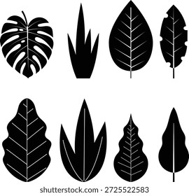 Minimalista Ilustración vectorial de colección de hojas en blanco y negro