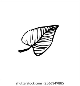 Minimalist black and white leaf sketch with intricate details. Ideal for botanical art, autumn-inspired decor, or elegant nature designs.