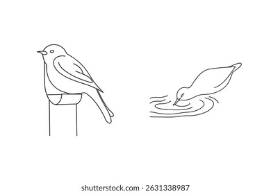 Minimalist black and white line art depicting a perched bird and a drinking bird
