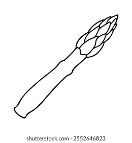 Minimalist black and white line drawing of a single asparagus spear