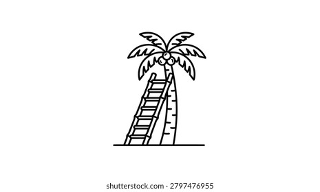A minimalist black and white line drawing depicting a tropical palm tree featuring coconuts and a ladder positioned against the trunk on a flat ground line