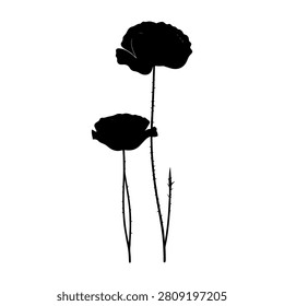 Minimalist black and white silhouette of two flowers with elongated stems, emphasizing simplicity and elegance in floral design.