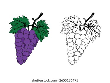 Minimalista garabato de Ilustración vectorial en blanco y negro de vid de uva púrpura hojas de uvas maduras y ramas de árbol simple una línea de arte para colorear proyectos de arte de libros libros de arte para niños artbook y diseños creativos