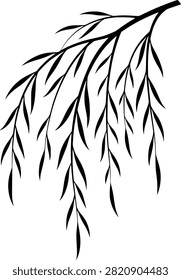 minimalist black willow tree branch vector illustration isolated on white background