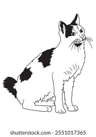 Minimalist black-and-white cat illustration designed for coloring books. A delightful choice for feline fans, kids, and artistic activities.