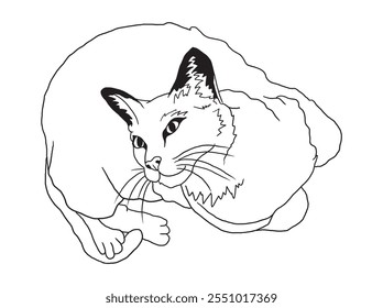 Minimalist black-and-white cat illustration designed for coloring books. A delightful choice for feline fans, kids, and artistic activities.