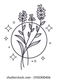 Minimalist blooming branches of flower in circle with glowing stars or glittering. Isolated icon of magical botany or herbs used for spells of potions. Colorless line art, vector in flat style