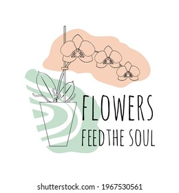 Minimalist boho illustration of quote flowers feed the soul with black line art potted house plant moth orchid and abstract shapes background. Stock vector.