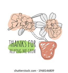 Minimalist boho illustration of quote thanks for helping me grow with black line art potted desert rose and abstract shapes background. Stock vector. svg