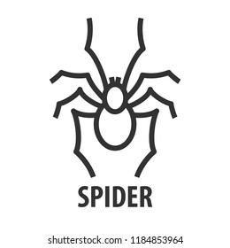 Minimalist bold line icon of spider. Abstract Logo template of spider. Vector illustration.