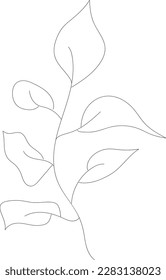 minimalist botanic icon, logo, design, vector illustration, one line drawing