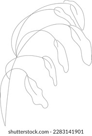 minimalist botanic icon, logo, design, vector illustration, one line drawing