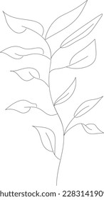 icono botánico minimalista, logotipo, diseño, ilustración vectorial, dibujo de una línea