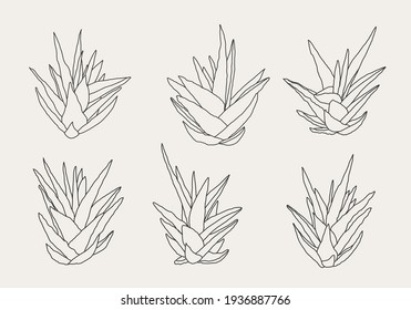 Minimalist botanical branch with leaves elements for abstract collage