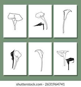 Minimalist botanical calla lilies wall art vector set. Black line art illustrations with leaves and blossoms. Hand draw organic shape design for wall framed prints, canvas prints, poster, home decor