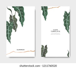 Minimalist botanical card template design, Alocasia Polly plant with golden line on white, pastel vintage theme