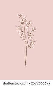 Minimalist botanical illustration of delicate white flowers on slender brown stems. Simple floral design with elegant flowers on a soft pink background. Cute aesthetic illustration vector.