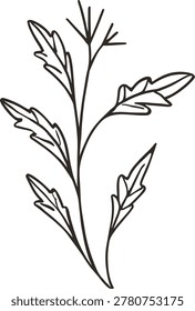 A minimalist botanical illustration features a stem with leaves, and branching tips on a white background