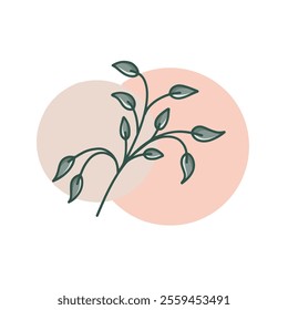 A minimalist, botanical illustration featuring a delicate green branch on a soft pink background