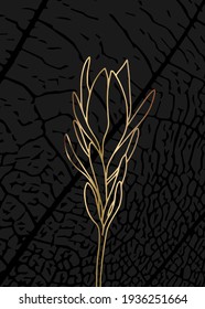 Minimalist botanical illustration. Golden outline of a plant on a black background.