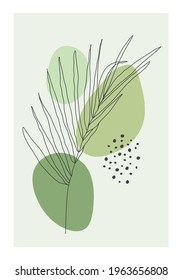 Minimalist botanical line art composition with leaves abstract collage