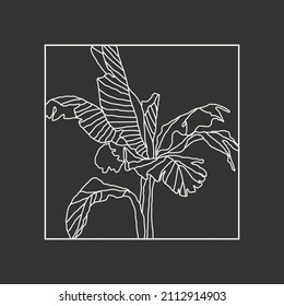 Minimalist botanical line art compositions with leaves abstract collage