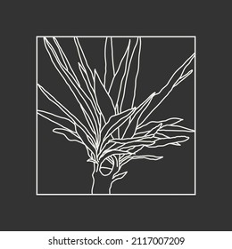 Minimalist botanical line art compositions with leaves abstract collage