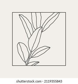 Minimalist botanical line art compositions with leaves abstract collage