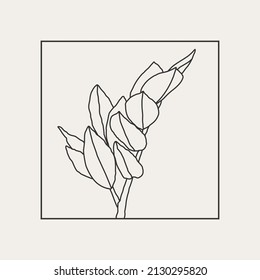 Minimalist botanical line art compositions with leaves abstract collage