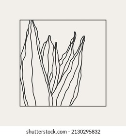 Minimalist botanical line art compositions with leaves abstract collage