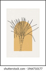 Minimalist botanical line art flower abstract collage