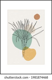 Minimalist botanical line art flower abstract collage