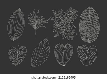 Minimalist botanical line art leaves elements for abstract collage
