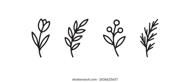Minimalist botanical line art: tulip, leaf, berry, and herb illustrations.