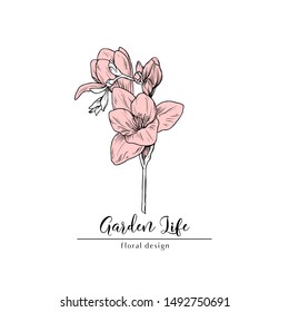 minimalist botanical logo with a hand drawn fresia branch; black and white graphic with pastel pale pink; elegant, stylish template for flower shop; also multi purpose identity or decorative element